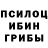 Галлюциногенные грибы Psilocybe Masked rider