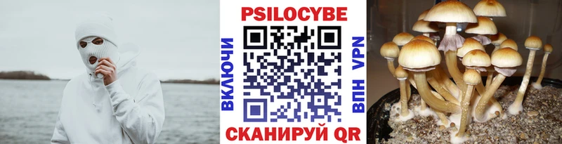 Галлюциногенные грибы Psilocybine cubensis  Мирный 
