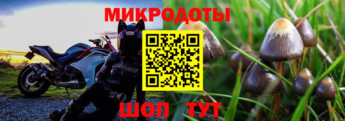 где можно купить   Галлюциногенные грибы MAGIC MUSHROOMS  Мирный  Псилоцибиновые грибы Magic Shrooms 