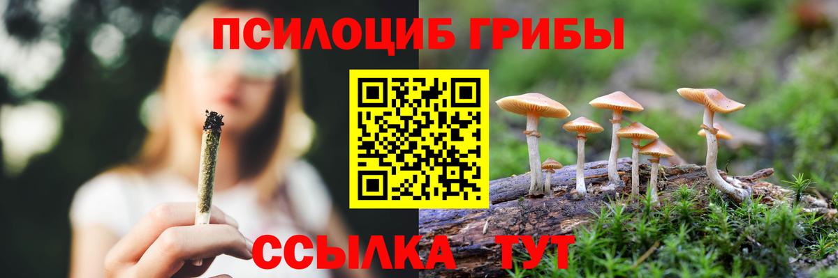 Псилоцибиновые грибы Cubensis Мирный